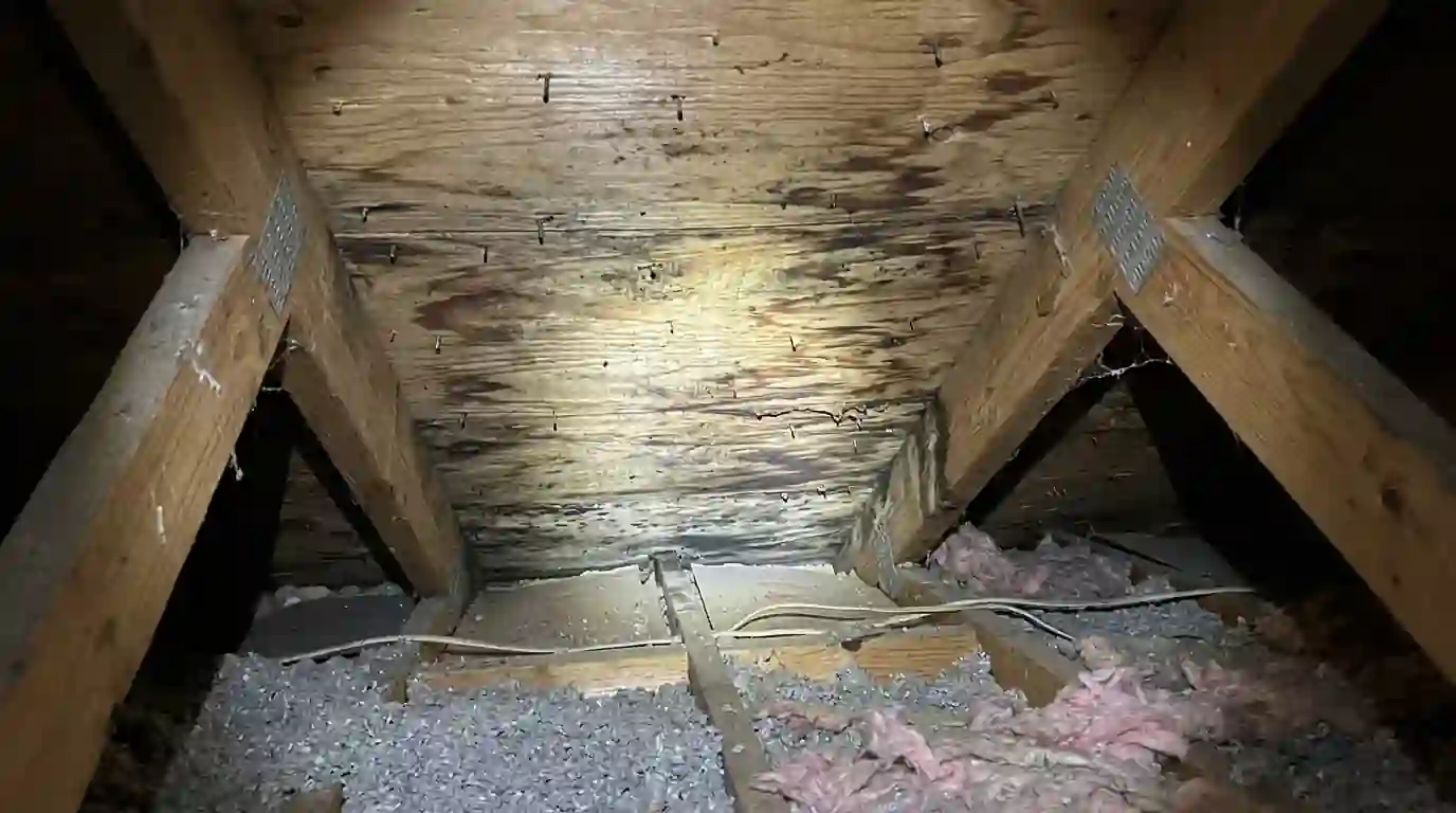 Water-stained sheathing seen from the attic