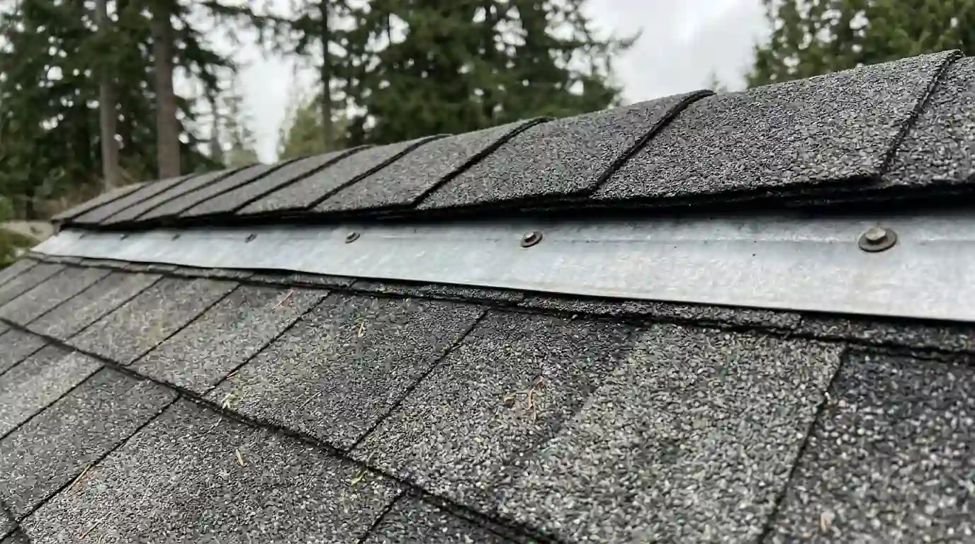 Zinc strip below the ridge on a cleaned roof